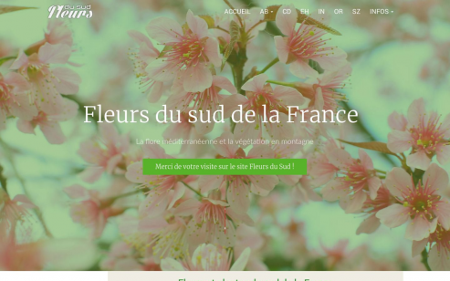 https://www.fleursdusud.fr